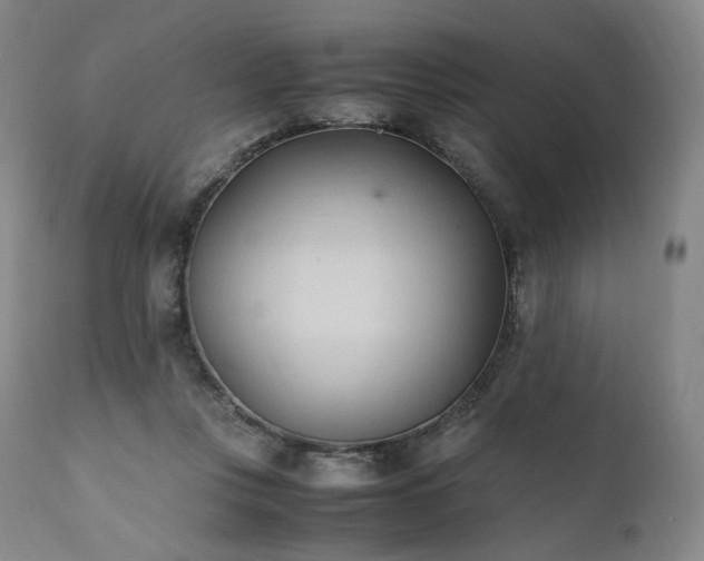 X0000111950359200907271442