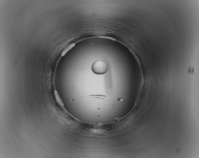 X0000111950360200907271442