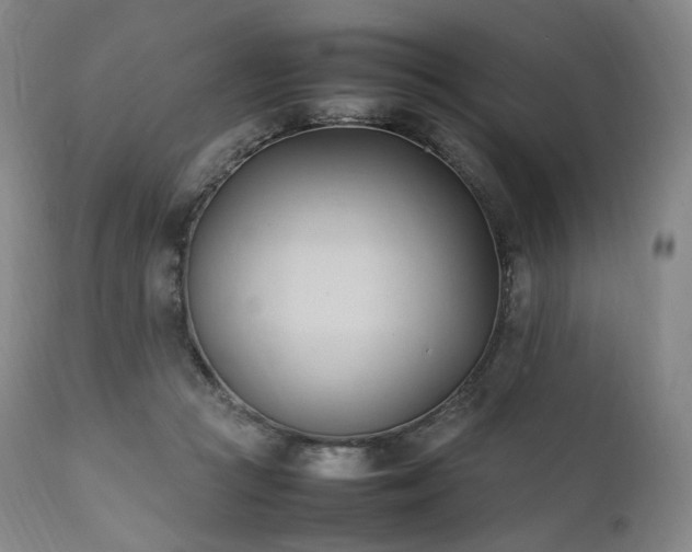X0000111950361200907271442