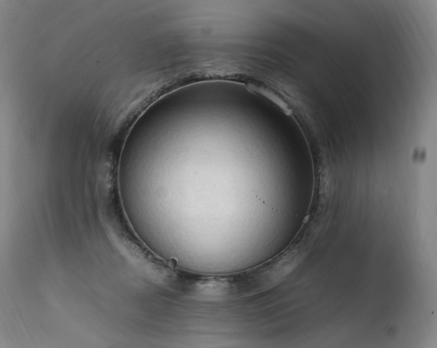 X0000111950362200907271442