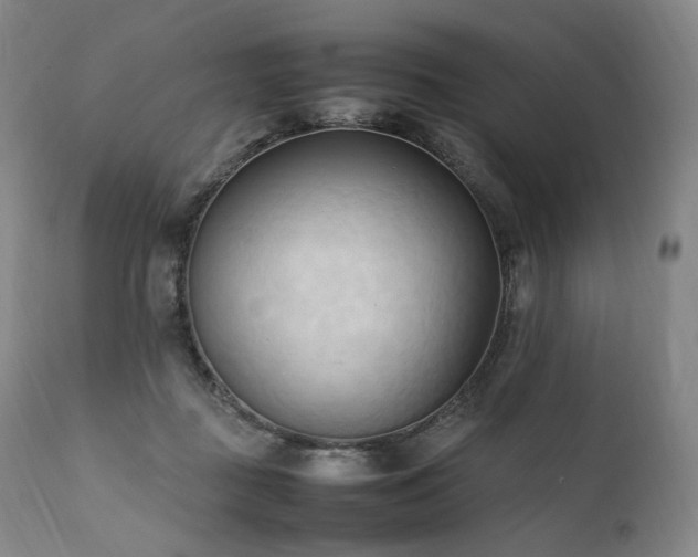 X0000111950363200907271442