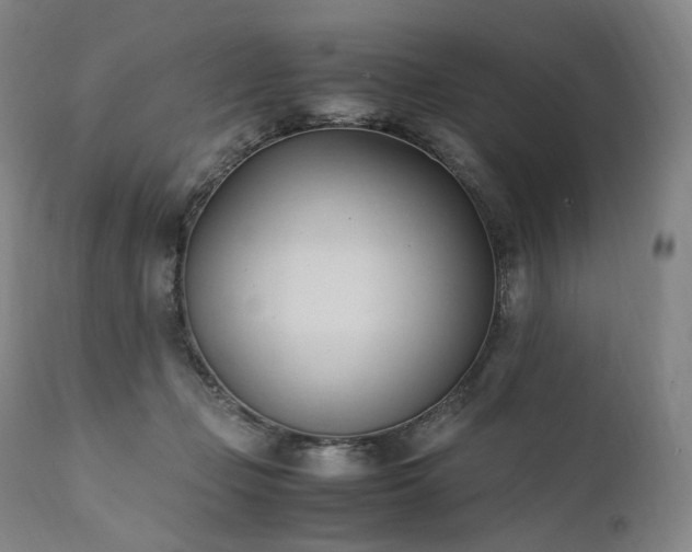 X0000111950365200907271442