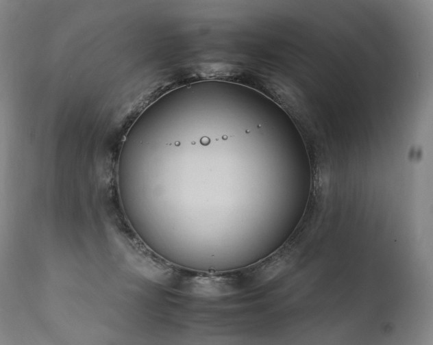 X0000111950367200907271442