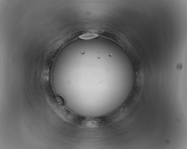 X0000111950368200907271442