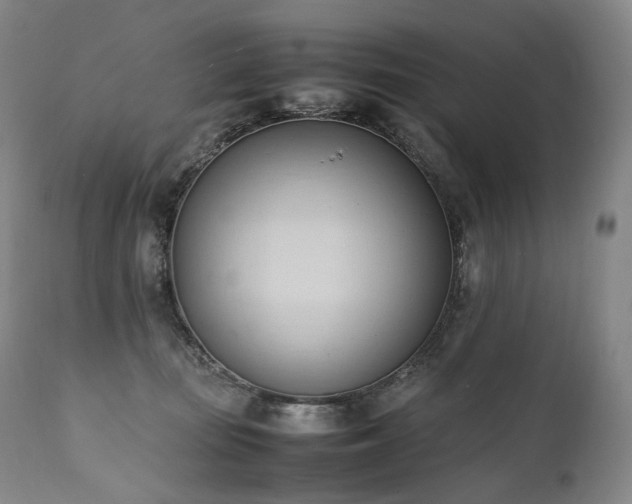 X0000111950371200907271442