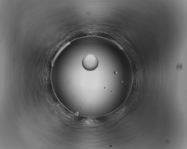 X0000111950372200907271442