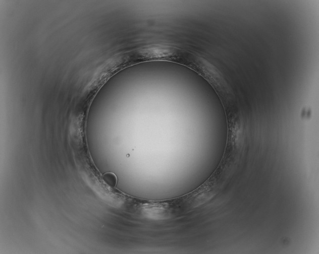 X0000111950373200907271442