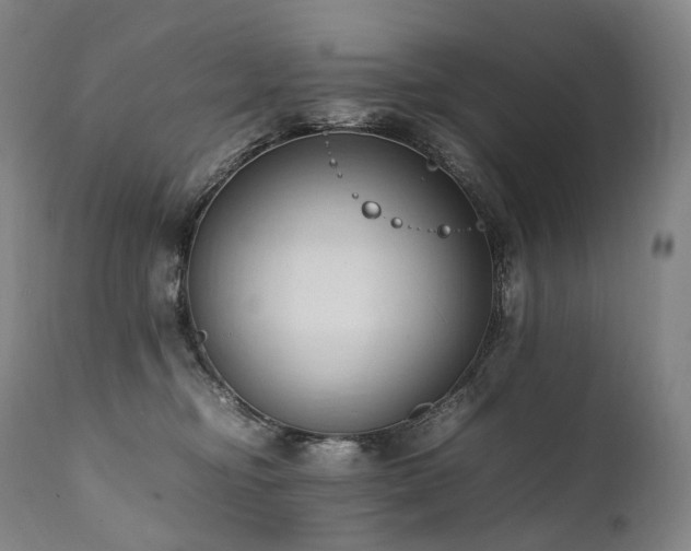 X0000111950374200907271442