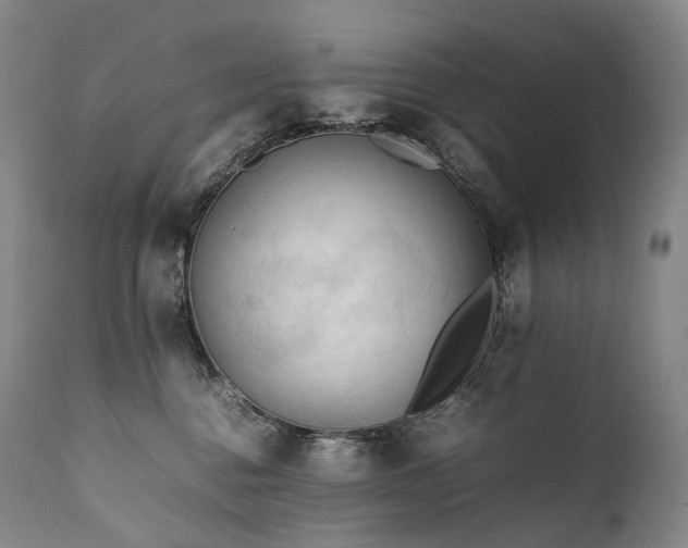 X0000111950376200907271443