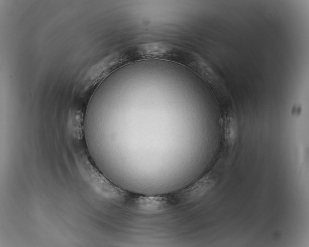 X0000111950378200907271443