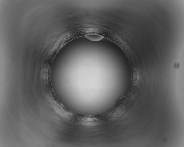 X0000111950379200907271443