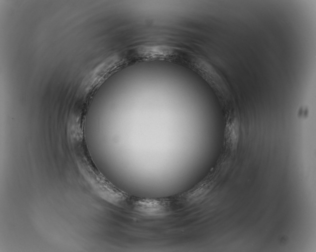 X0000111950381200907271443