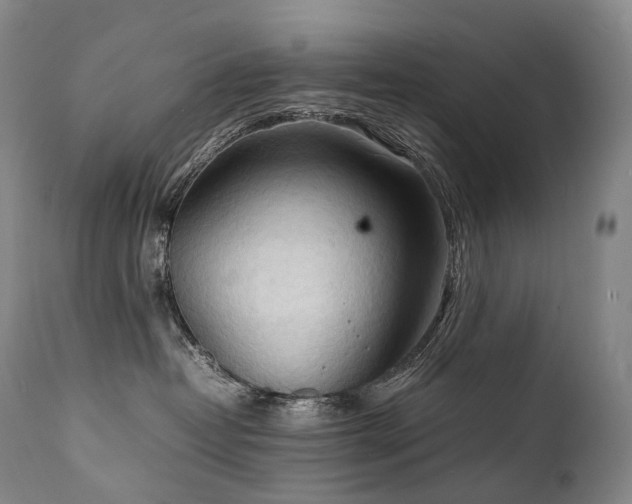 X0000111950382200907271443