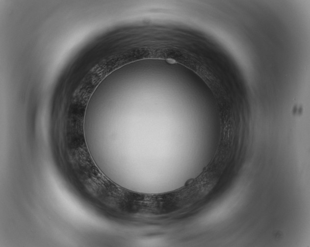 X0000111950383200907271443