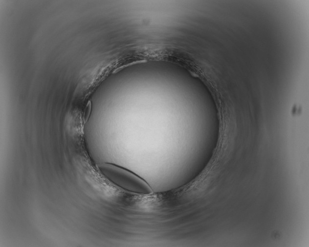 X0000111950384200907271443