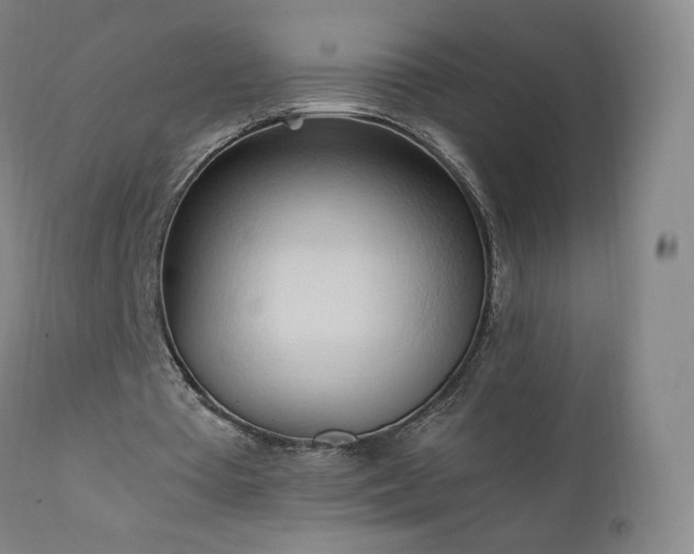 X0000111950385200907271442