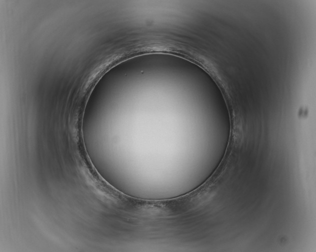 X0000111950386200907271442