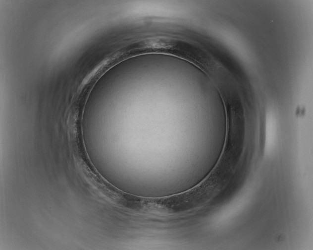 X0000111950387200907271442