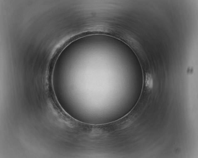 X0000111950388200907271442
