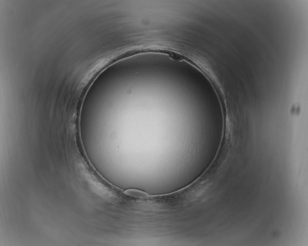 X0000111950389200907271442