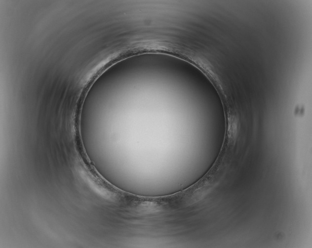 X0000111950390200907271442