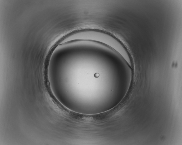 X0000111950391200907271442