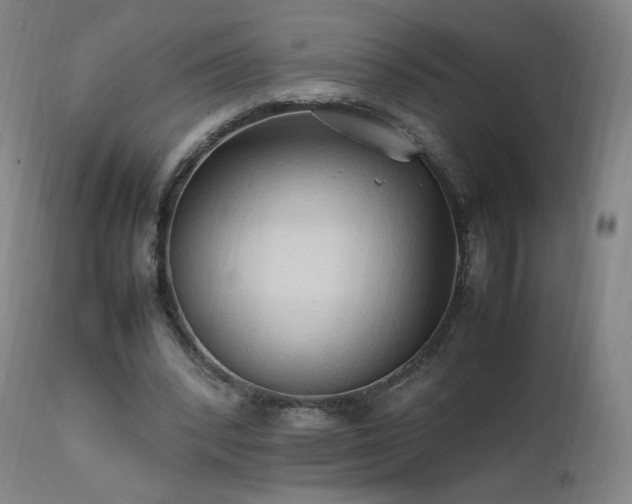 X0000111950392200907271442