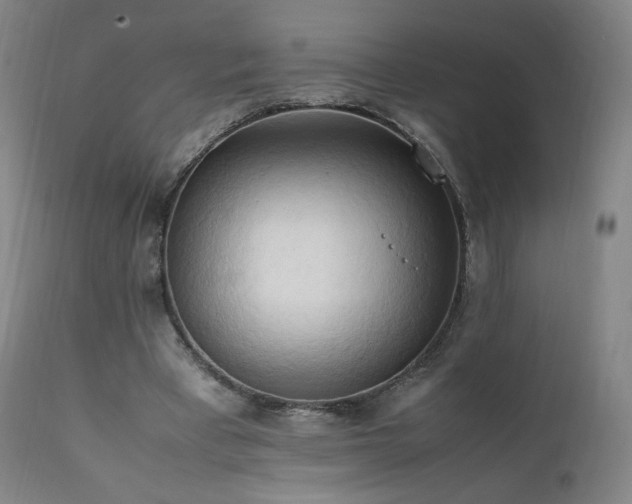 X0000111950393200907271442