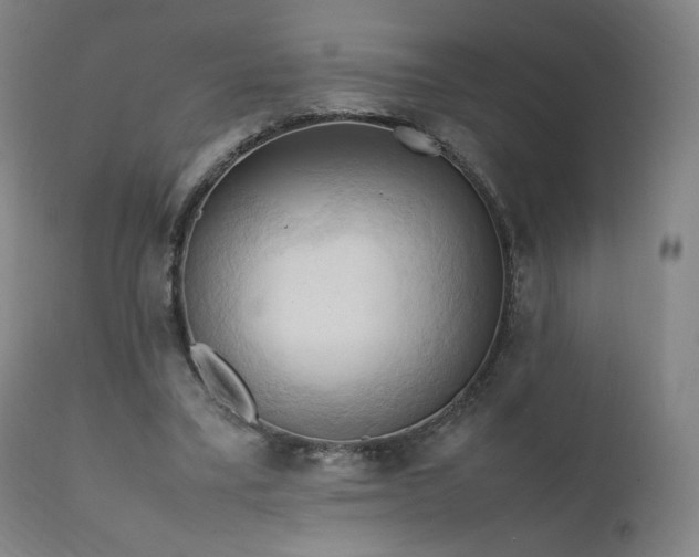 X0000111950395200907271442