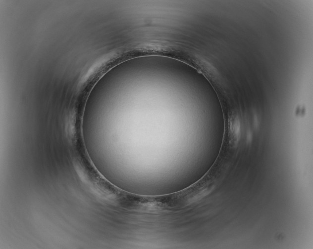 X0000111950396200907271442