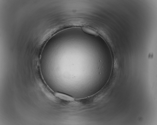 X0000111950397200907271442