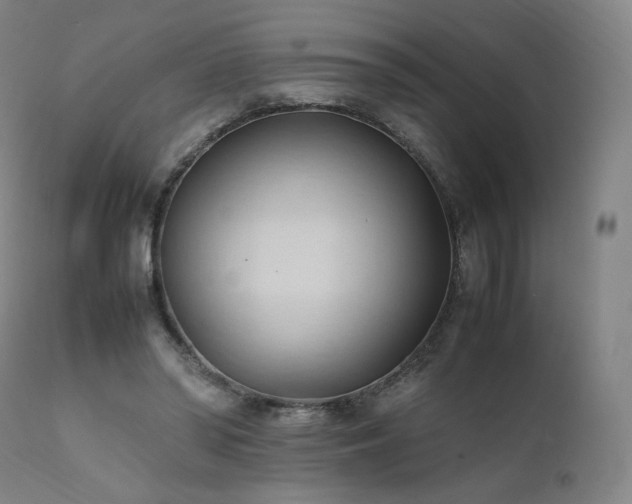 X0000111950398200907271442