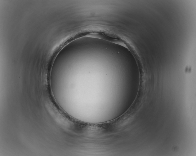 X0000111950399200907271442