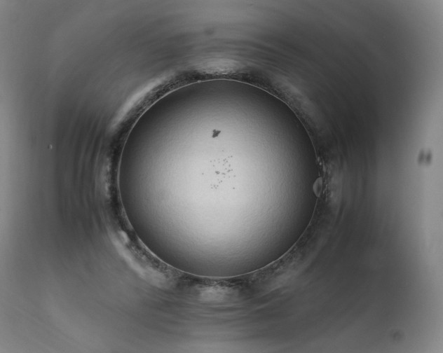 X0000111950400200907271442