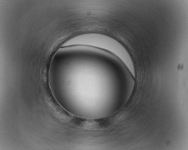 X0000111950403200907271442