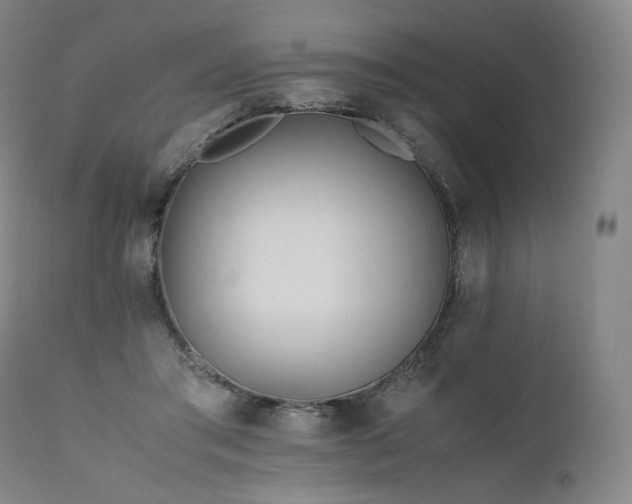 X0000111950405200907271442