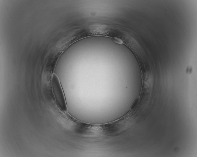 X0000111950409200907271441