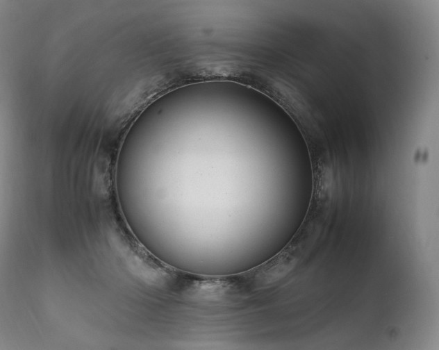 X0000111950414200907271441