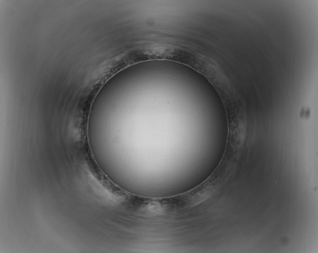 X0000111950416200907271441