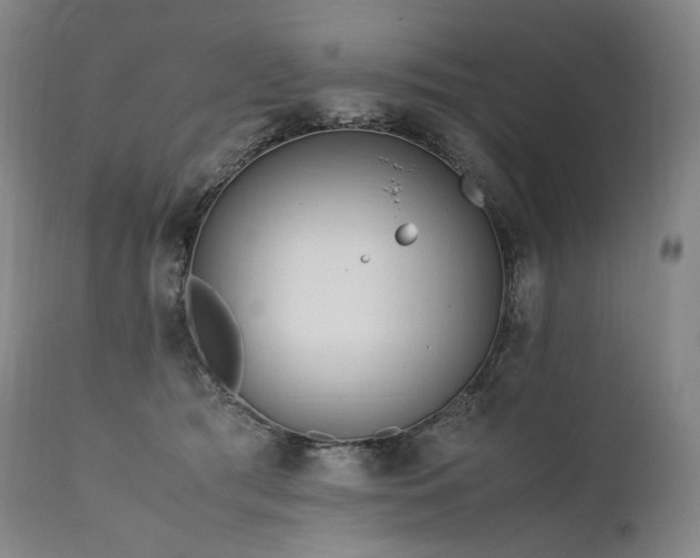 X0000111950417200907271441