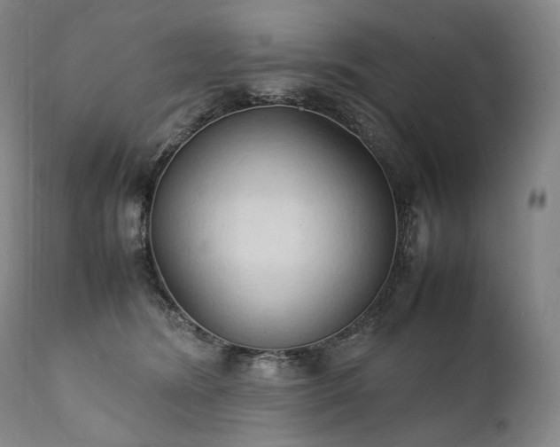 X0000111950420200907271441