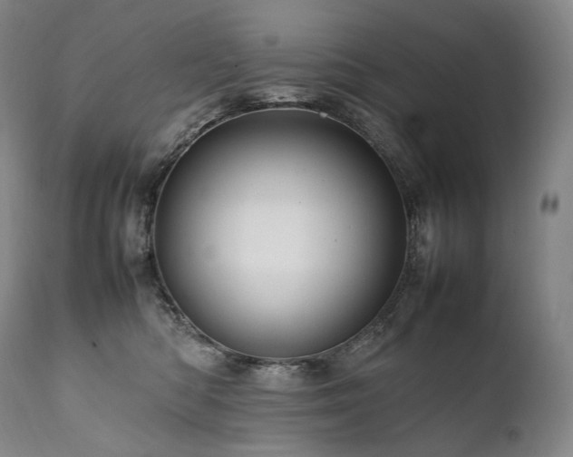 X0000111950422200907271441