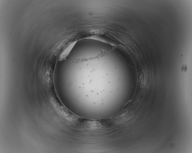 X0000111950424200907271441