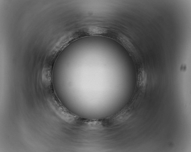 X0000111950426200907271441