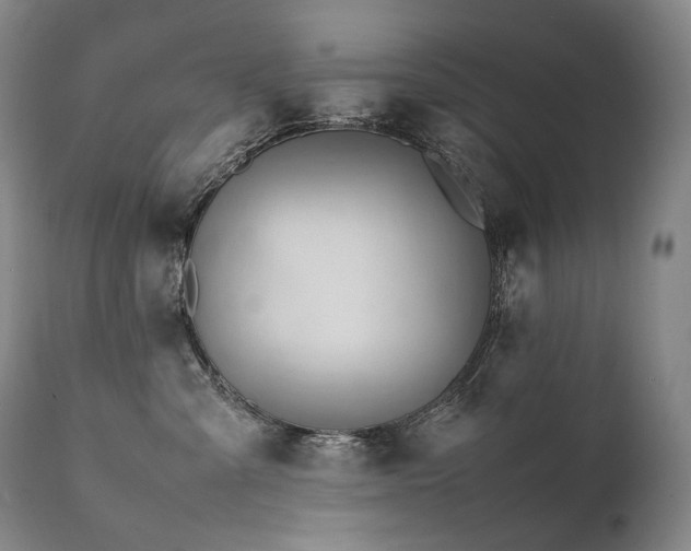 X0000111950427200907271441