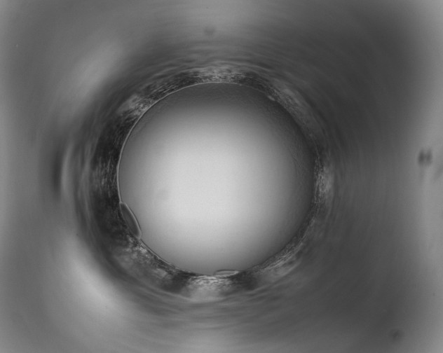 X0000111950429200907271441