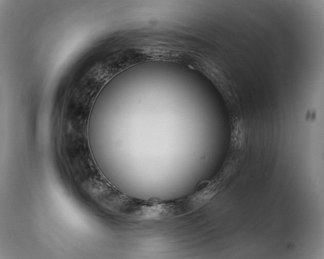 X0000111950430200907271441