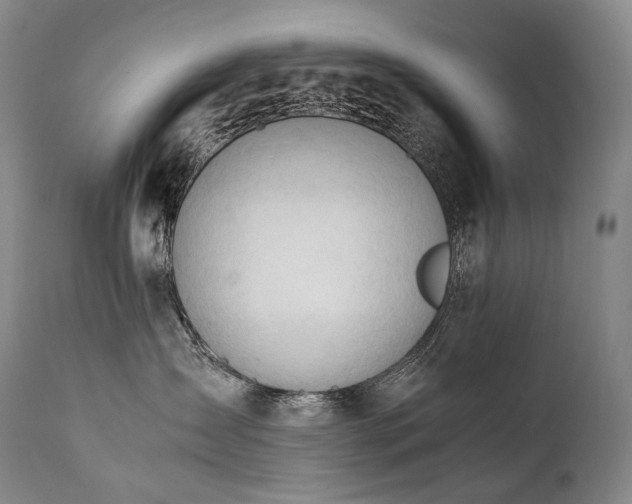 X0000111950431200907271441