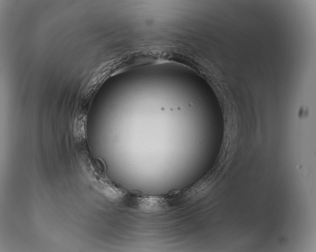 X0000111950432200907271441