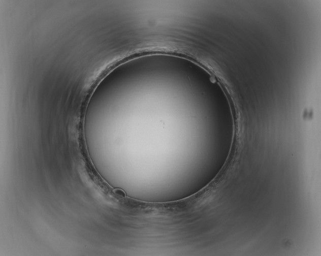 X0000111950434200907271440